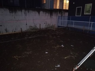 IMG_20191111_170740.jpg