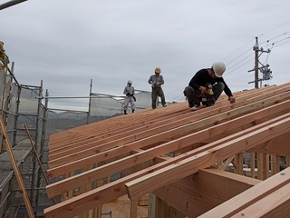 IMG_20201107_113205.jpg
