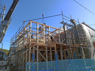 IMG_20201124_131447.jpg