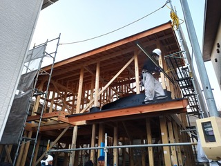 IMG_20210115_165730.jpg