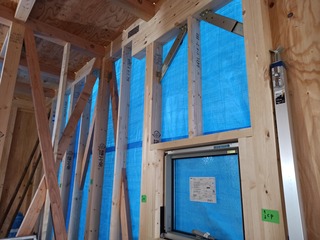 IMG_20210128_090442.jpg