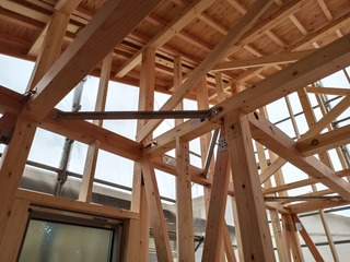 IMG_20210128_091210.jpg