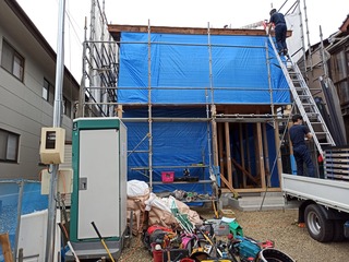 IMG_20210603_165532.jpg