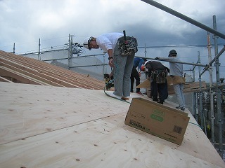 IMG_2194.jpg
