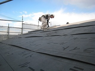 IMG_2206.jpg