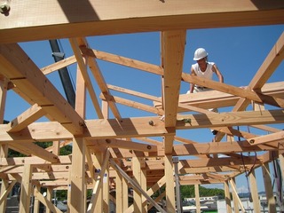 IMG_2833.jpg