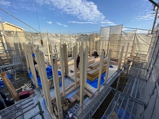 IMG_4851.jpg