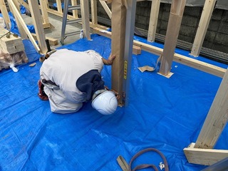 IMG_6985.jpg