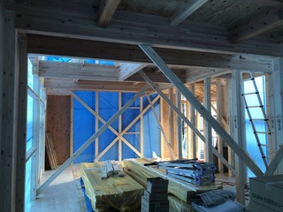 IMG_7203.JPG