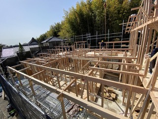 IMG_8025.jpg