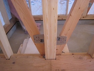 IMG_8833.jpg