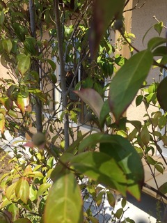 IMG_1659.jpg