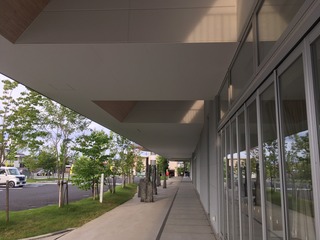 IMG_8501.JPG