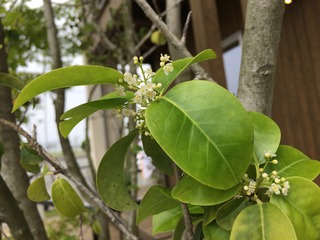 image1.jpeg
