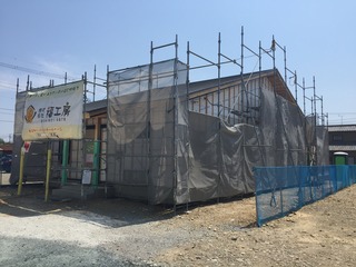 image4.jpeg
