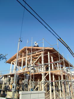 joto0222.jpg
